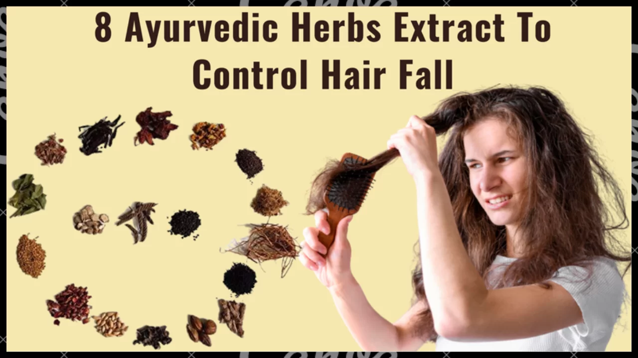 Hair fall control with Herbalistan herbs