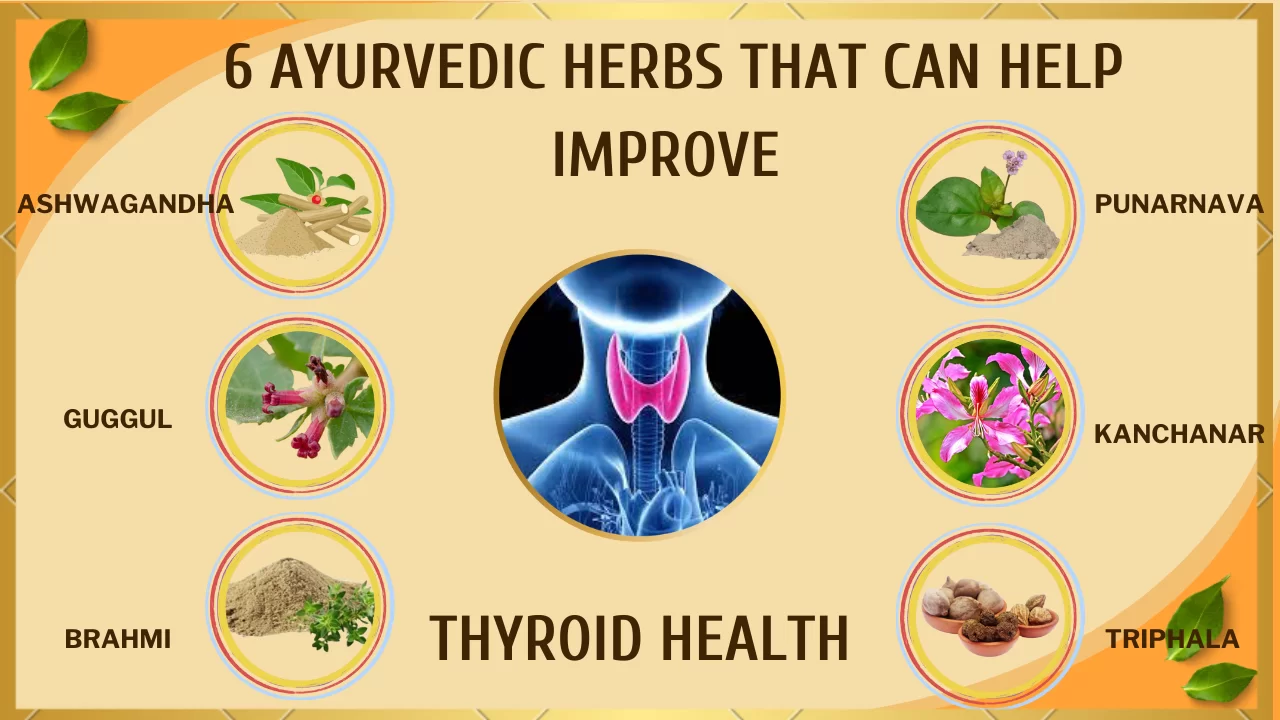 Herbalistan Thyroid Remedies for thyroid issues